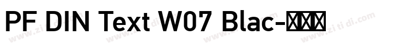 PF DIN Text W07 Blac字体转换